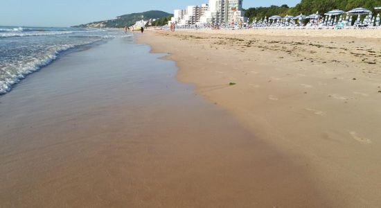 Plaža Albena