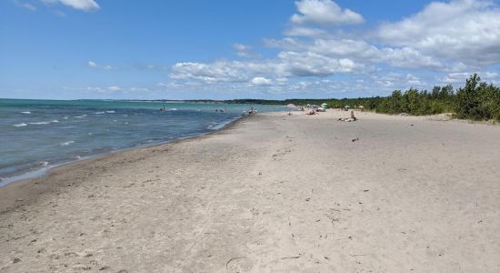 Dog Beach