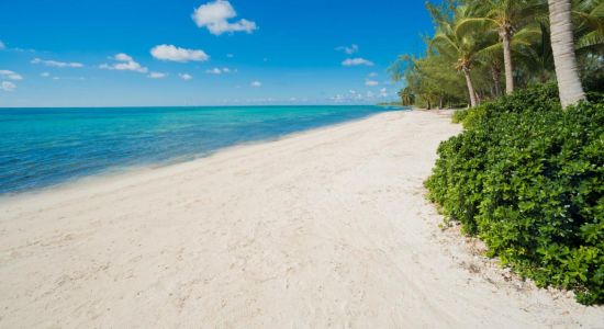 Cayman Villas beach