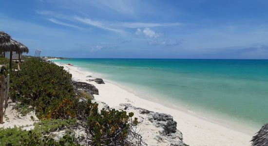 Plaža Cayo Santa Maria V