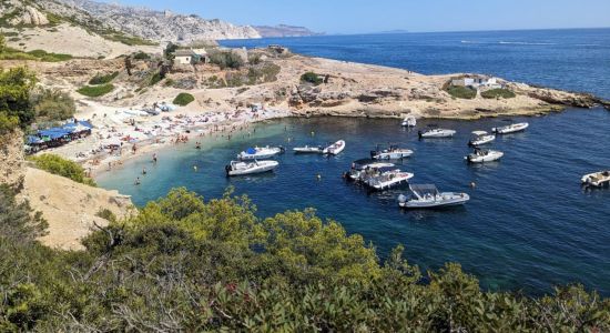 Calanque de Marseilleveyre