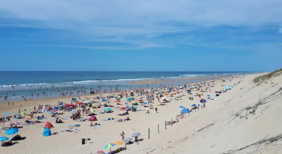 Plage de Messanges