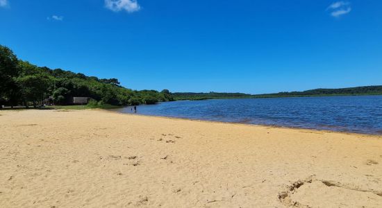 Plage du Lac de Leon