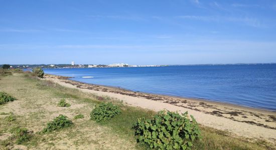 Plage de La Teste