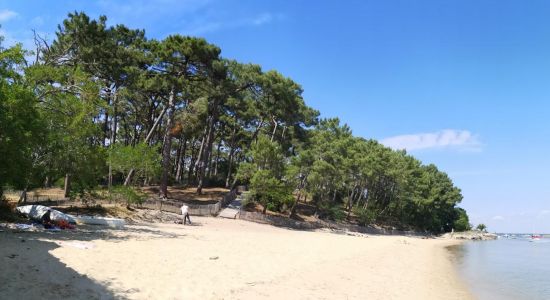 Plage de la Truquette