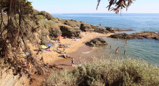 Plage des Grandes Vallees