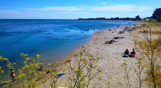 Plage de Banastere