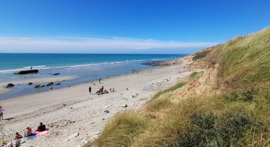 Plage Dunes De La Slack