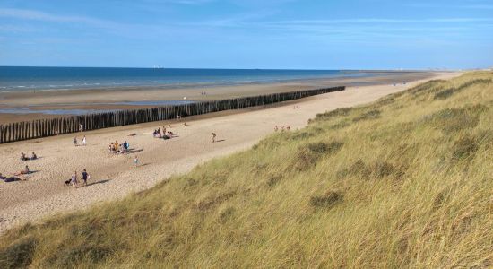 Plage des Ecardines