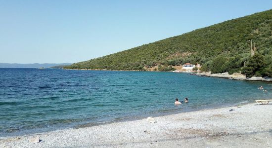 Alogoporos beach