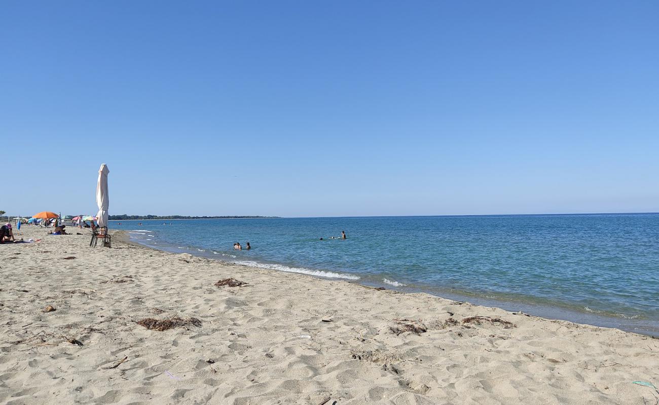 Alexandrian beach