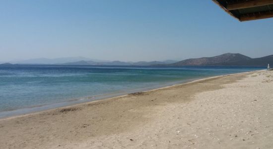 Delissos beach