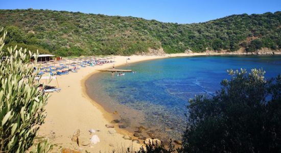 Plaža Karagatsia