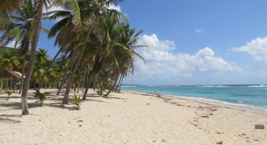 Anse du Souffleur