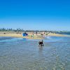 Altona Beach Dog Off