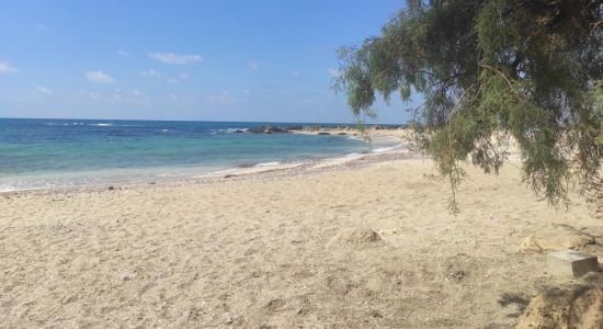 Nachsholim beach