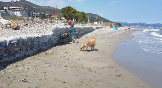 Ceriale dog beach