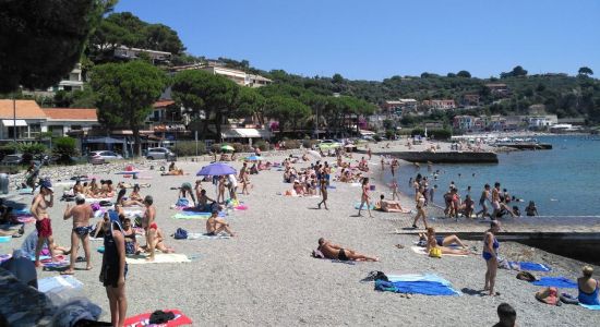 Olive beach