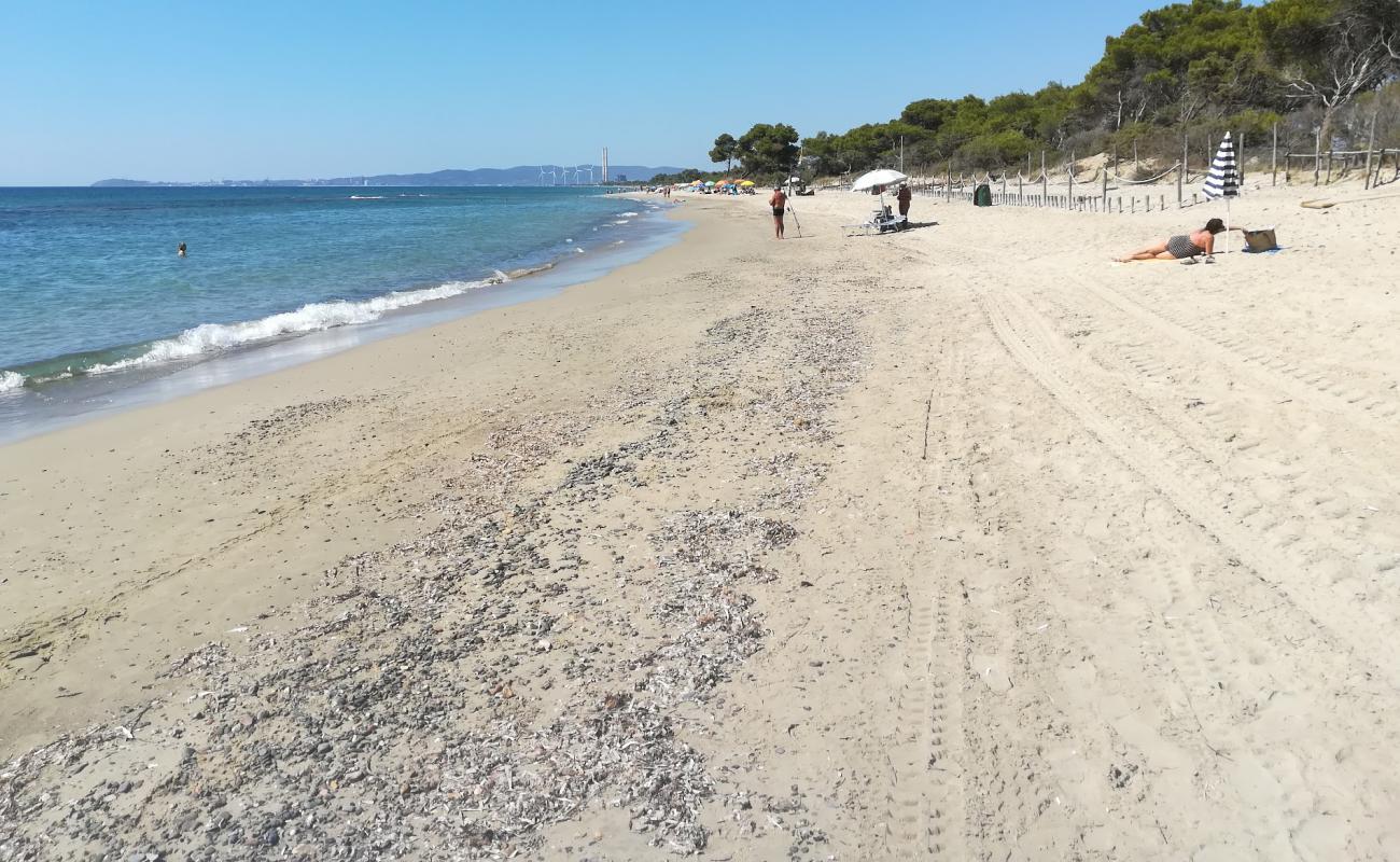 Plaža Carbonifera