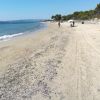 Plaža Carbonifera