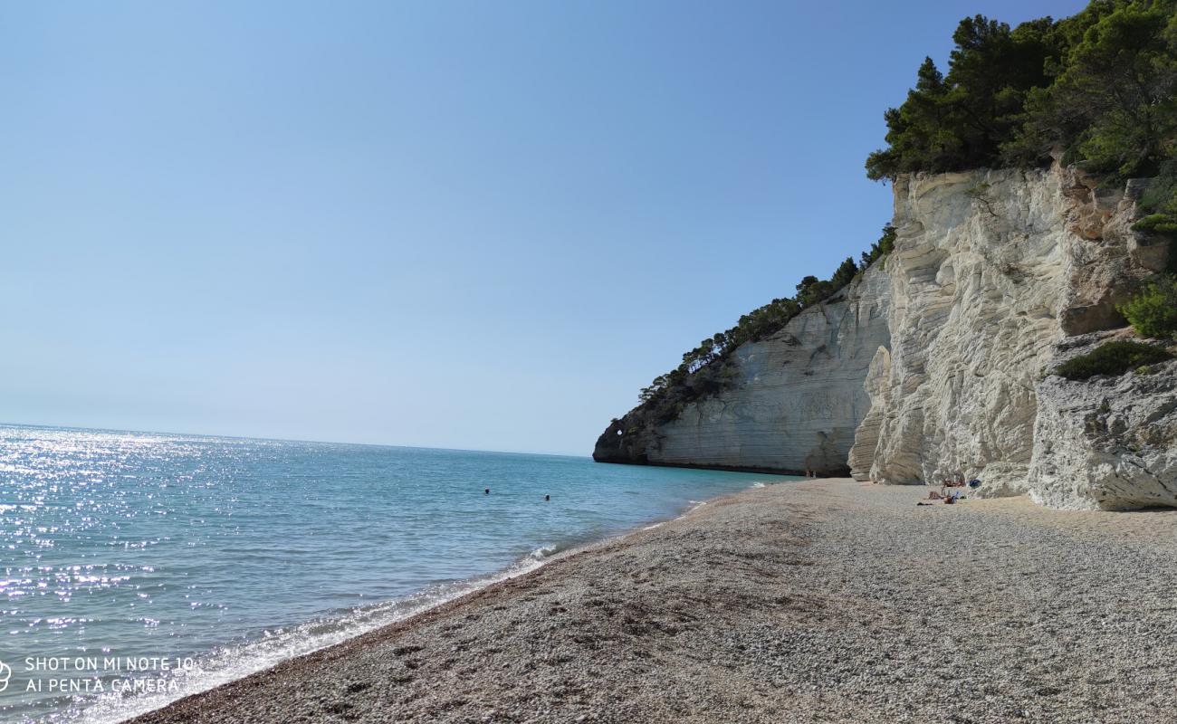Plaža Vignanotica