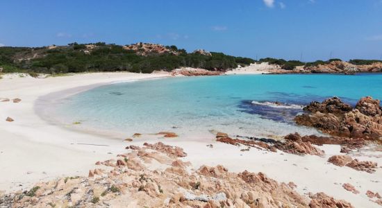 Spiaggia Rosa