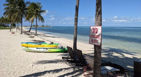 Bayshore Rd beach