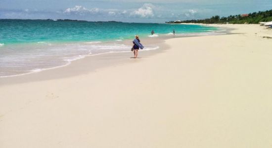 Cabbage beach