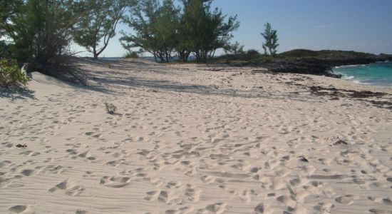 Rose Island beach