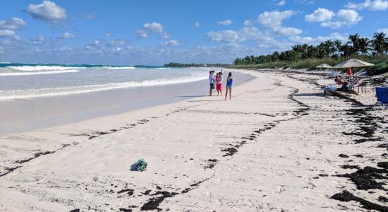 French Leave beach