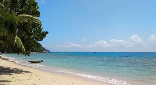 Petani Beach