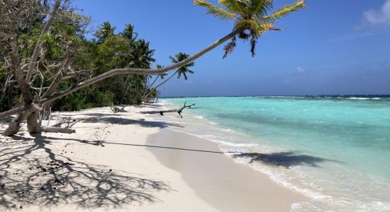 Omadhoo Beach