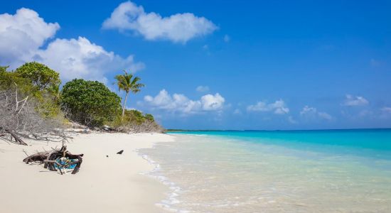 Dhiffushimaidhoo Island Beach