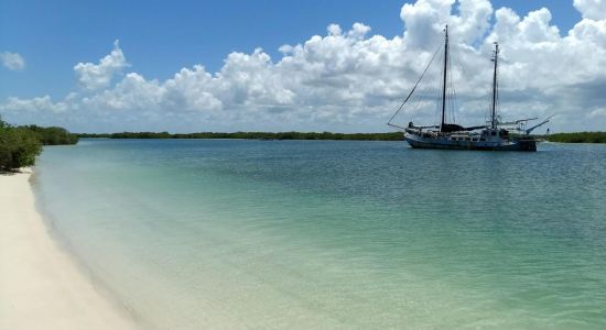 Playa Rio Lagartos