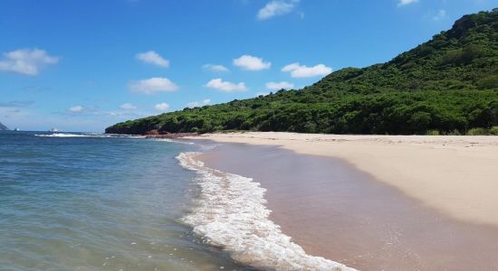 Venados beach