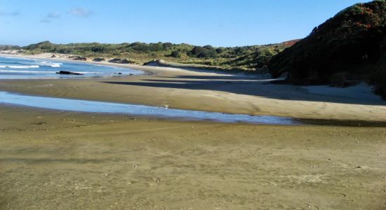 Twilight Beach