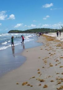 South Caribbean Coast Autonomous Region