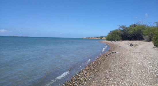 Playa Pitahaya