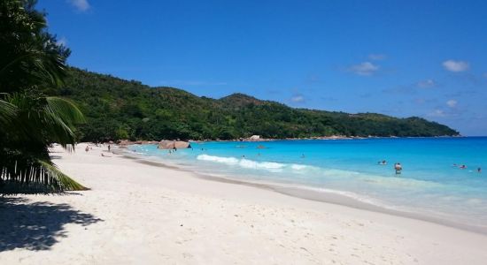 Plaža Anse Lazio