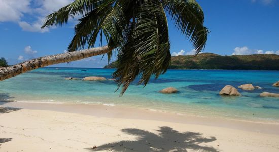 Anse Boudin Beach