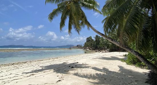 Anse La Blague Beach