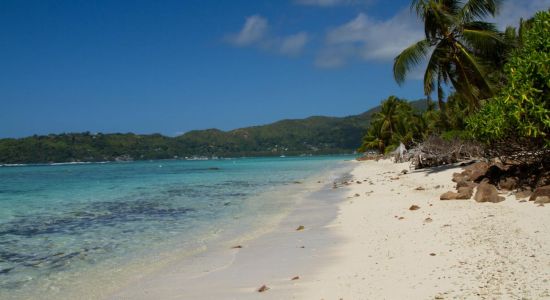 Anse La Farine Beach