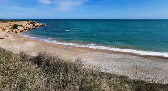 Platja de Les deveses