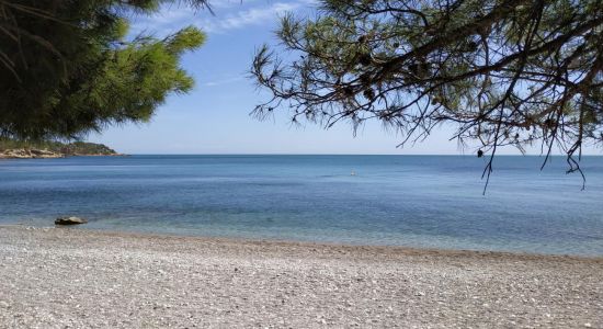 Platja de l'Aliga