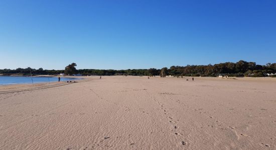 Playa de la Puntilla