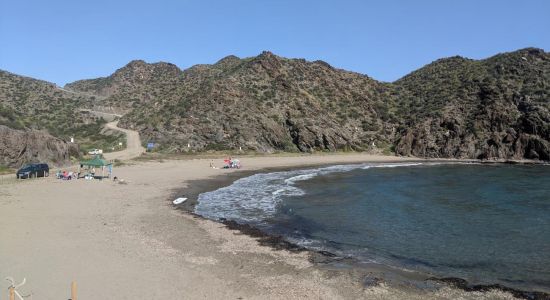 Playa del Siscal