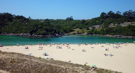 Playa de La Arena - Los Nudistas