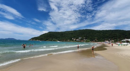 Plaža Ponta das Canas