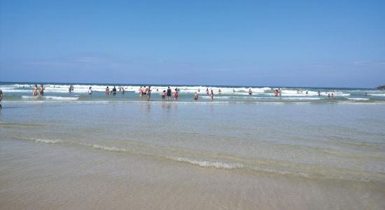 Plaža Pitangueiras