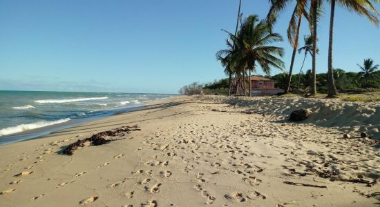 Kokosova plaža